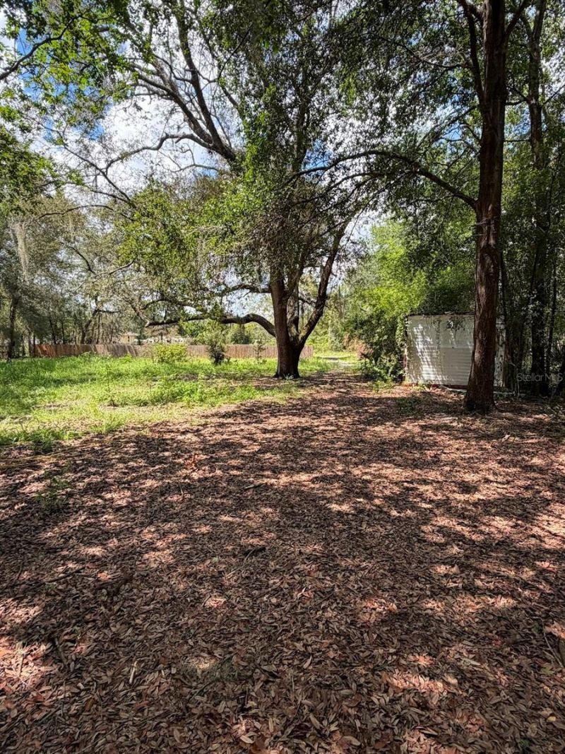 427 Polk Avenue , Orange Park, FL 32065 Photo
