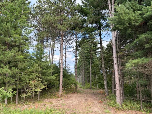 (Lot 5) TBD Tulip Street NW, Stanchfield, MN 55080