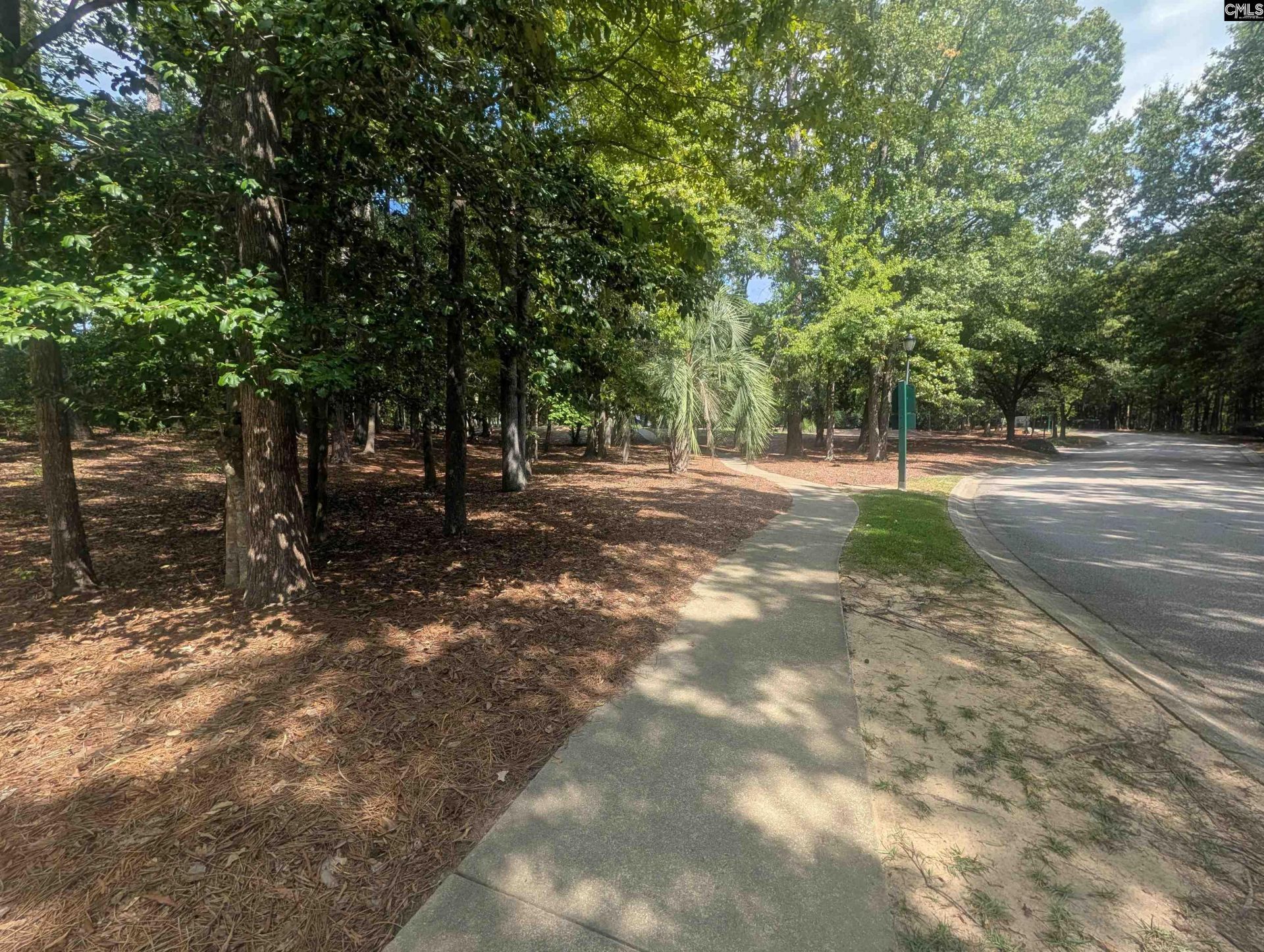 3 Avonwood Court Photo 46