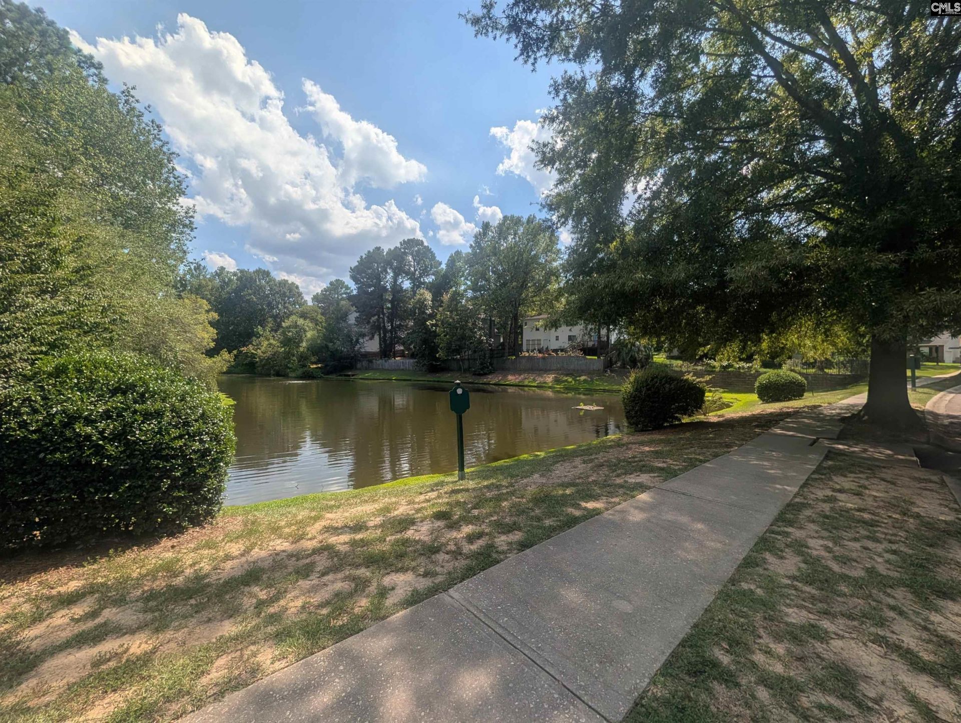 3 Avonwood Court Photo 48