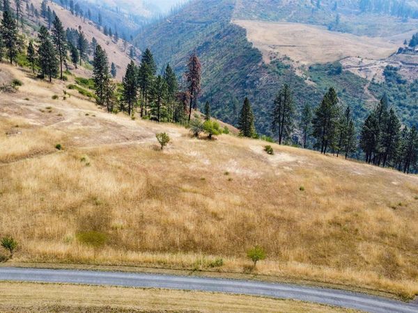tbd Larradon Dr, Kamiah, ID 83536