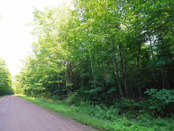 36XX North Shore Rd, La Pointe, WI 54806