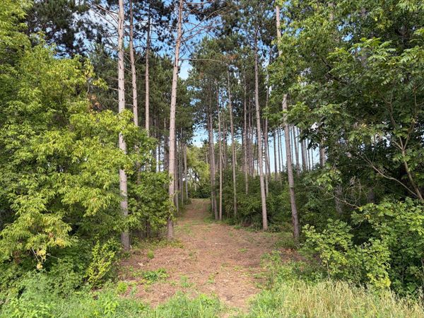 (Lot 6) TBD Tulip Street NW, Stanchfield, MN 55080