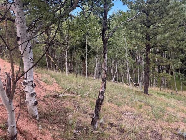 40 Sequoia Trail , Woodland Park, CO 80863