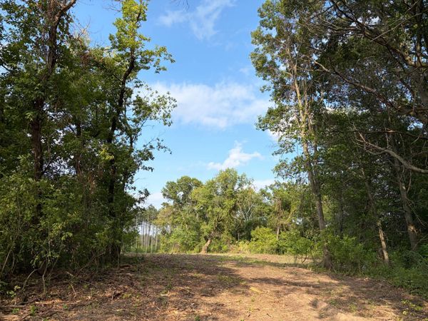 (Lot 7) TBD Tulip Street NW, Stanchfield, MN 55080