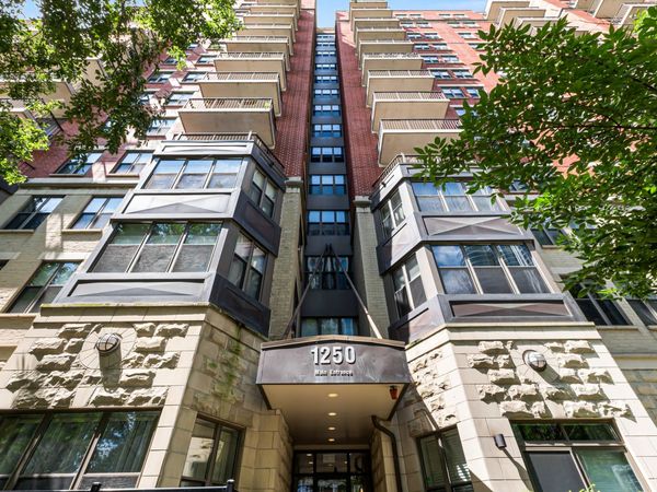 1250 S Indiana Avenue, Unit 307, Chicago, IL 60605