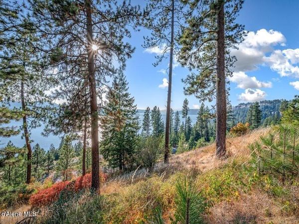 NNA Bedrock DR, Harrison, ID 83833