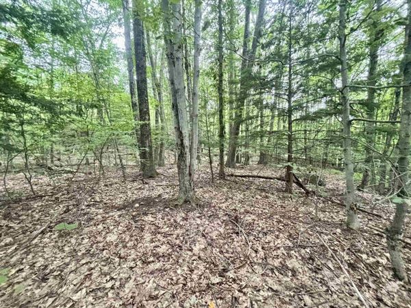 55-10 Longwood Drive, Greenfield, NH 03047