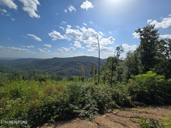 Stanley Creek , Oneida, TN 37841