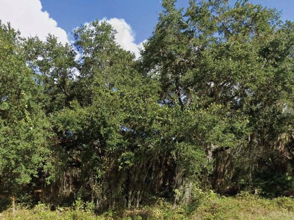 0 MINEOLA DRIVE , INDIAN LAKE ESTATES, FL 33855