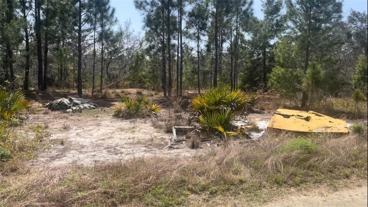 246 Caspian Tern Avenue, Sebring, FL 33870 Main Photo