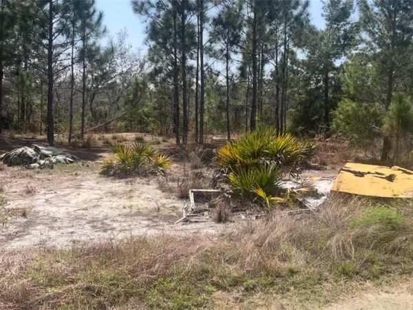 246 CASPIAN TERN AVENUE , SEBRING, FL 33870