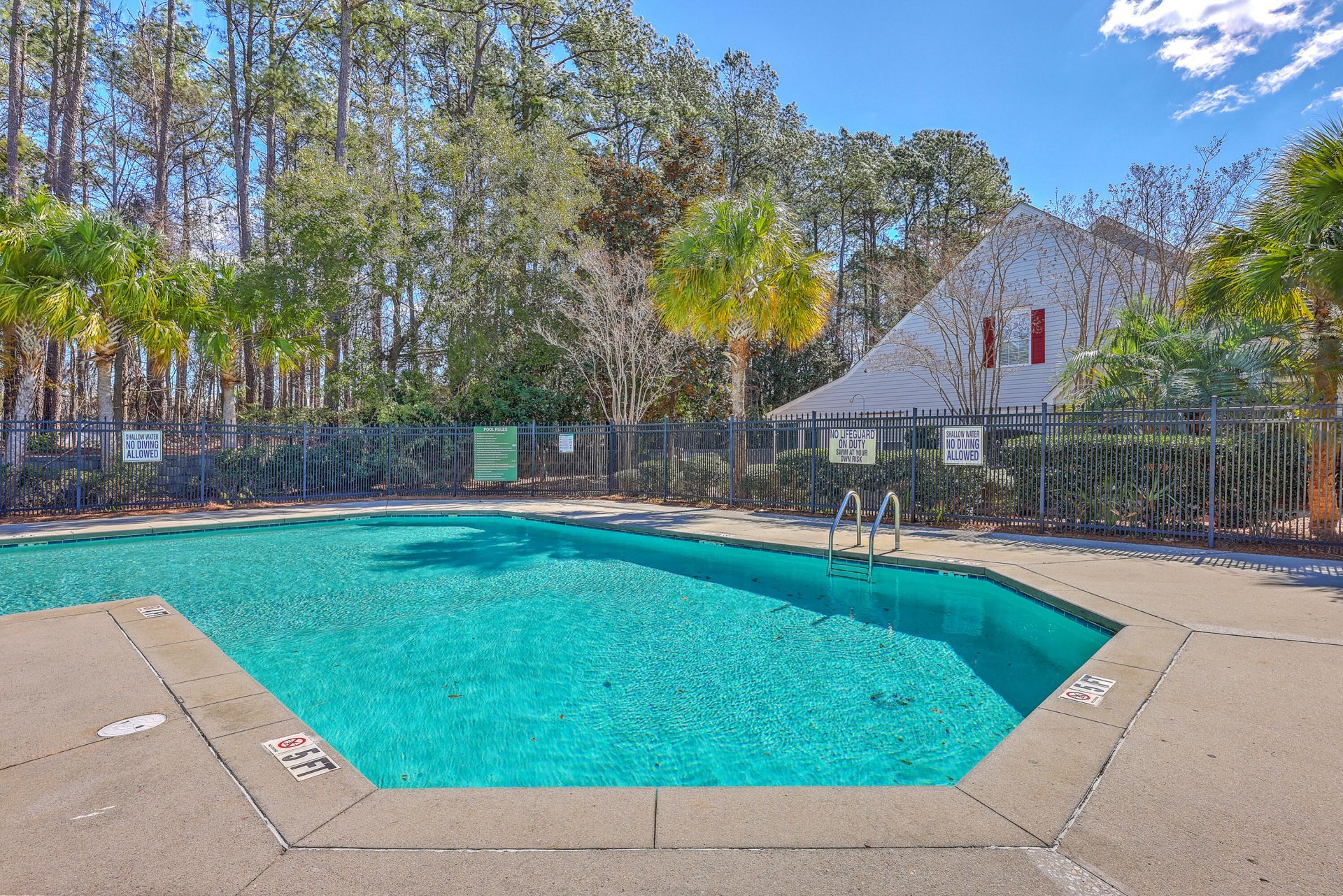 141 Darcy Avenue Photo 35