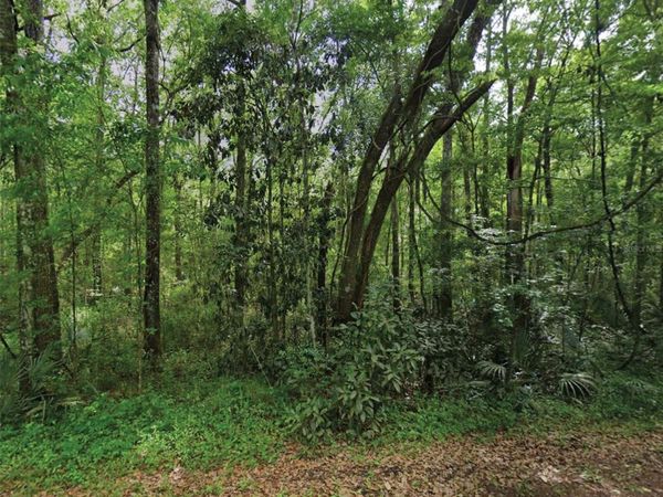 SCENIC DRIVE , MIDDLEBURG, FL 32068