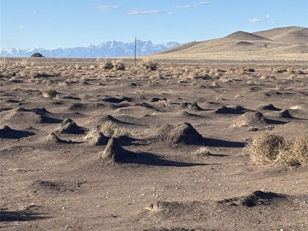 LOT 7 San Luis Valley Ranches , Blanca, CO 81123