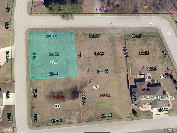 965 Alicia Way , Staunton, IL 62088