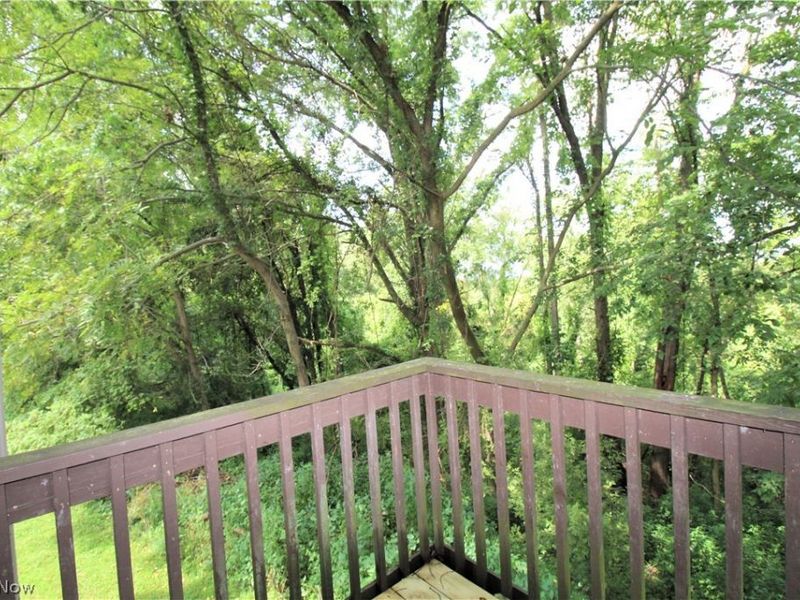 1128 Townsview Place, Wooster, OH 44691 Photo 20