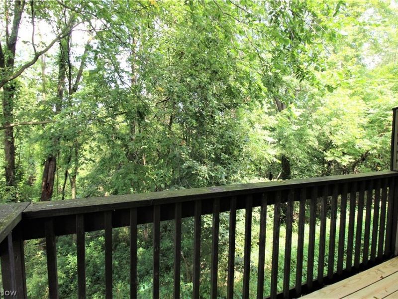 1128 Townsview Place, Wooster, OH 44691 Photo 21