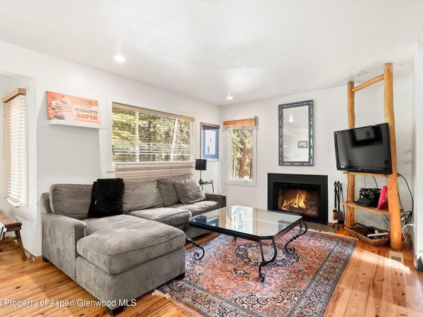 814 W Bleeker Street, Unit B3, Aspen, CO 81611