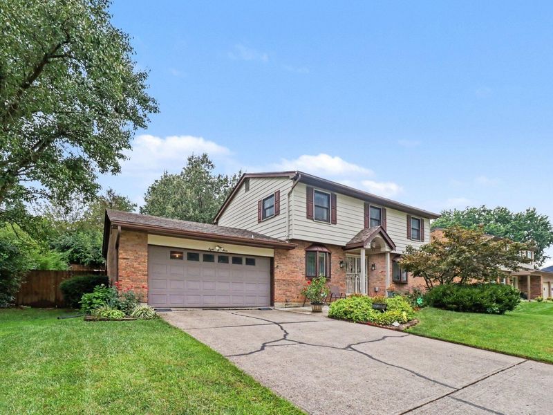 803 Dalewood Drive, Villa Hills, KY 41017 Photo 3
