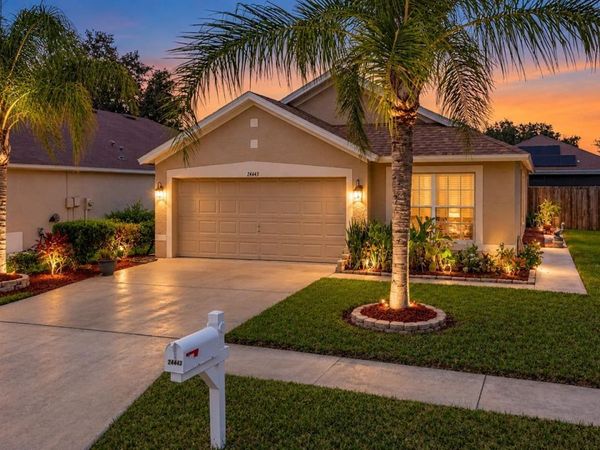 24443 SUMMER WIND CT, LUTZ, FL 33559