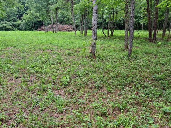 99 Jackson Road, Manchester, KY 40962