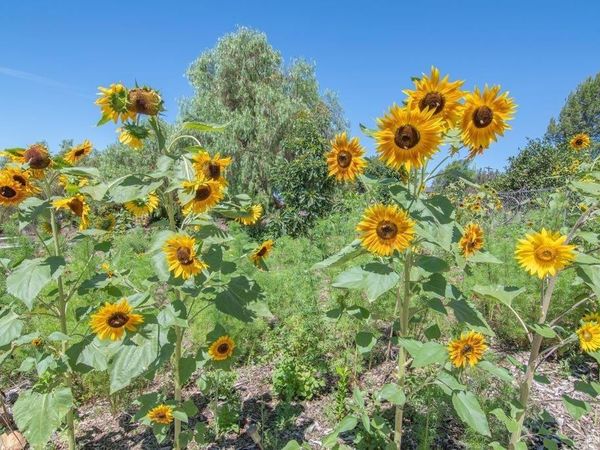 5741 Rainbow Heights Road, Fallbrook, CA 92028