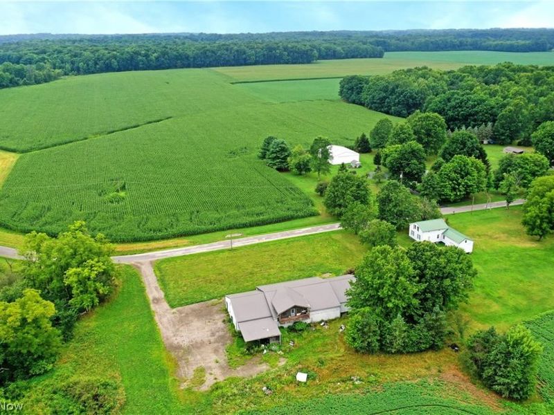 4000 Custer Orangeville Road NE, Burghill, OH 44404 Photo 12