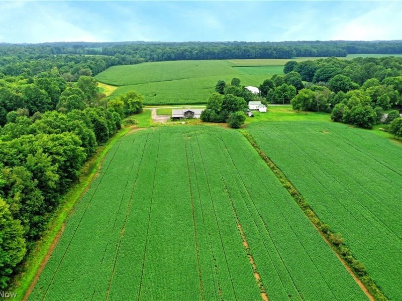 4000 Custer Orangeville Road NE, Burghill, OH 44404 Photo 13
