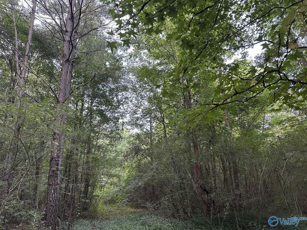 001 Skyball Road, Blountsville, AL 35031