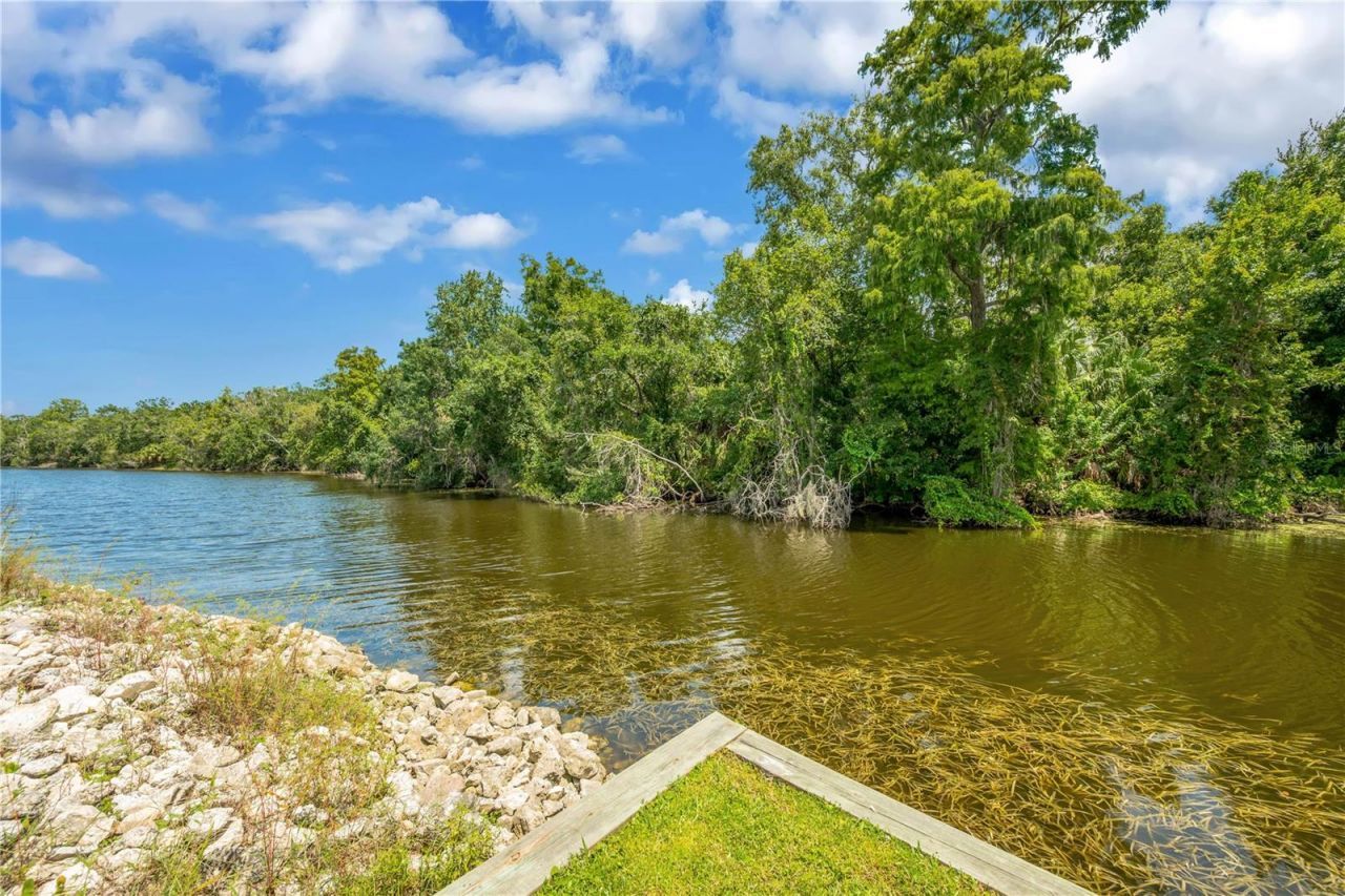 80 Foxfire Lane, Oldsmar, FL 34677 Photo