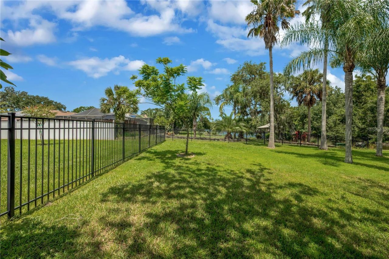 80 Foxfire Lane, Oldsmar, FL 34677 Photo