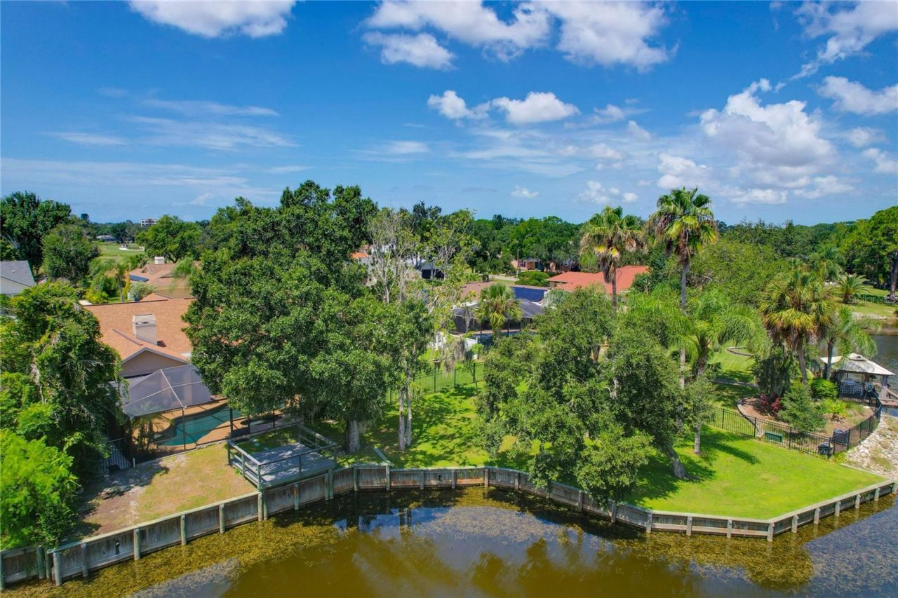 80 Foxfire Lane, Oldsmar, FL 34677 Photo