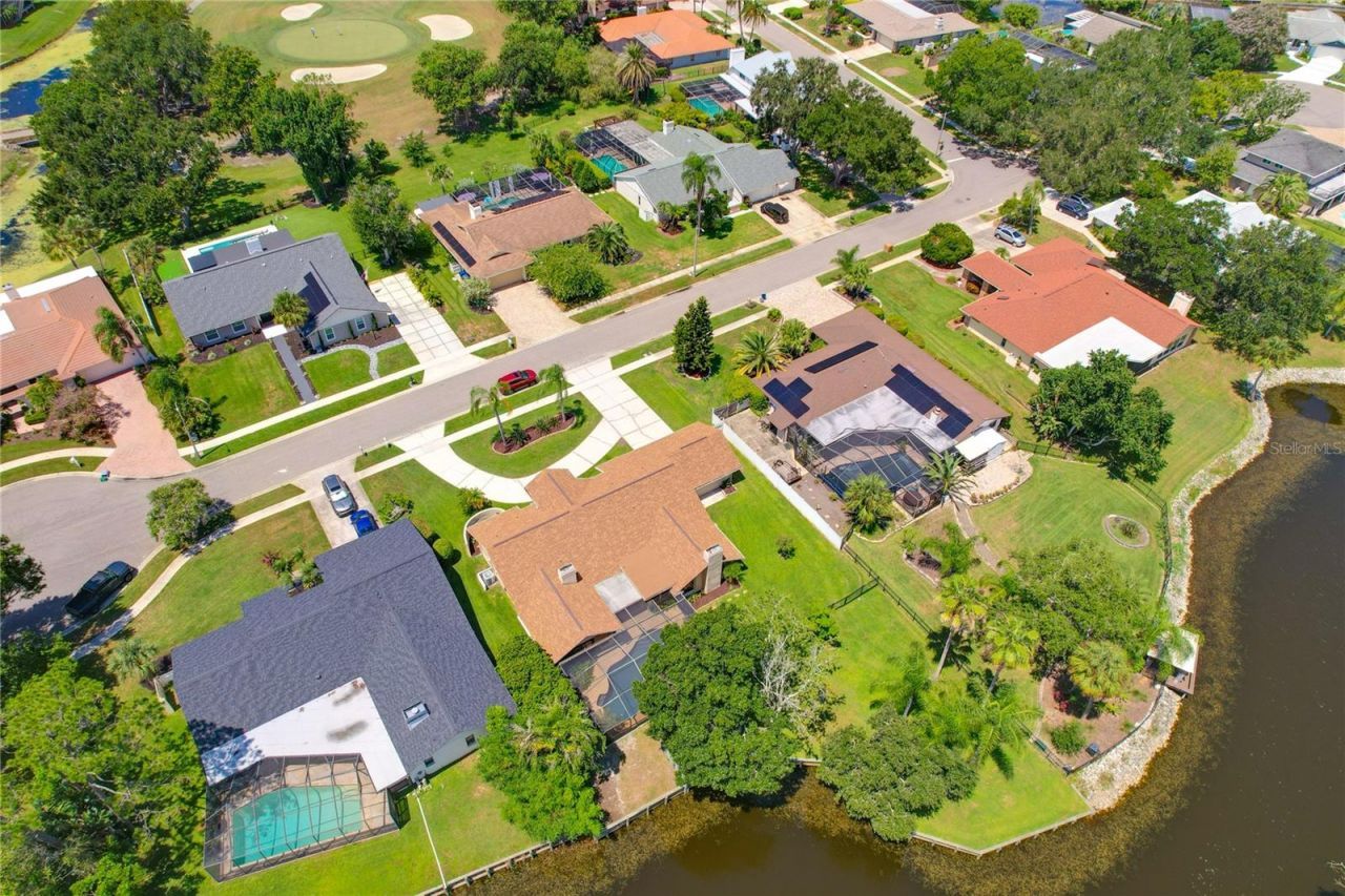 80 Foxfire Lane, Oldsmar, FL 34677 Photo