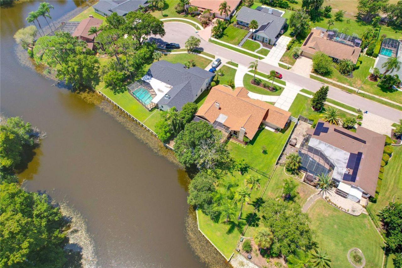 80 Foxfire Lane, Oldsmar, FL 34677 Photo