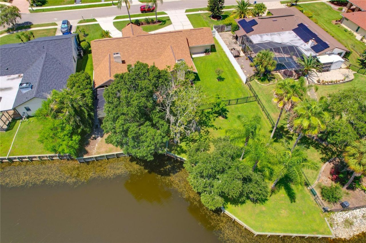 80 Foxfire Lane, Oldsmar, FL 34677 Photo