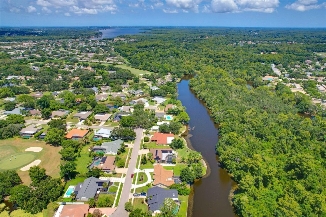 80 Foxfire Lane, Oldsmar, FL 34677 Photo