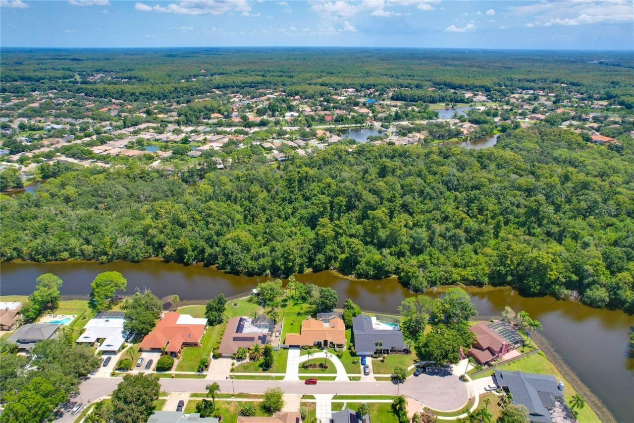 80 Foxfire Lane, Oldsmar, FL 34677 Photo