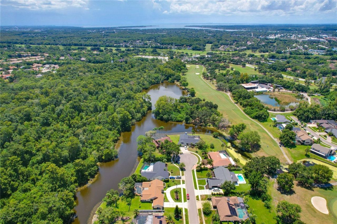 80 Foxfire Lane, Oldsmar, FL 34677 Photo