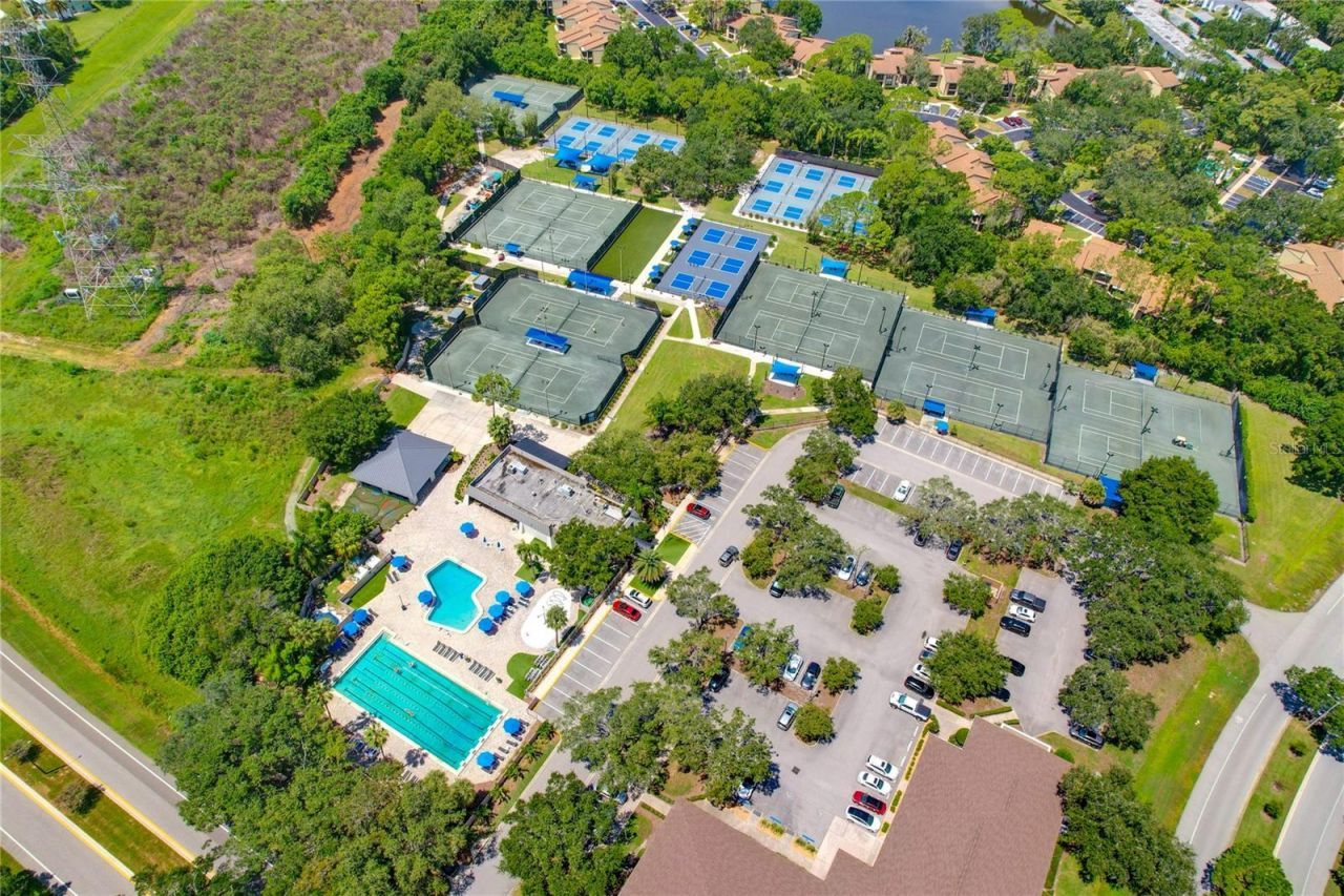 80 Foxfire Lane, Oldsmar, FL 34677 Photo