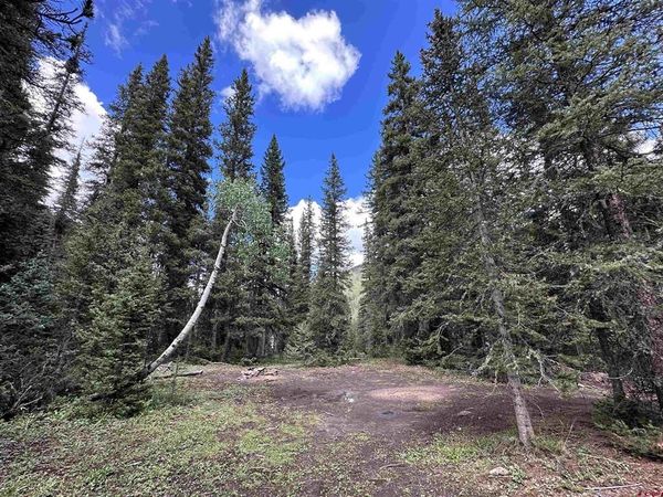 Lot 2 Overland Estates, CR 110, Silverton, CO 81433