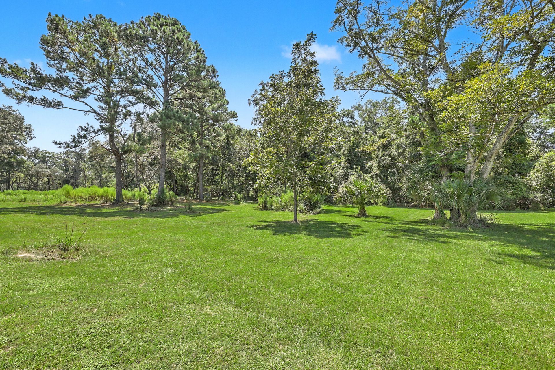 912 Brown Creek Road Photo 5