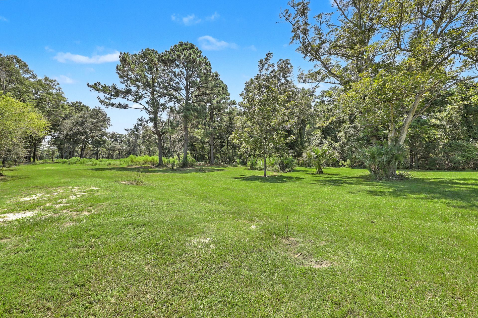 912 Brown Creek Road Photo 6