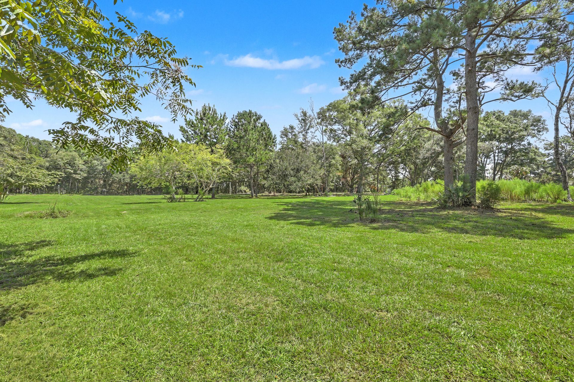 912 Brown Creek Road Photo 7