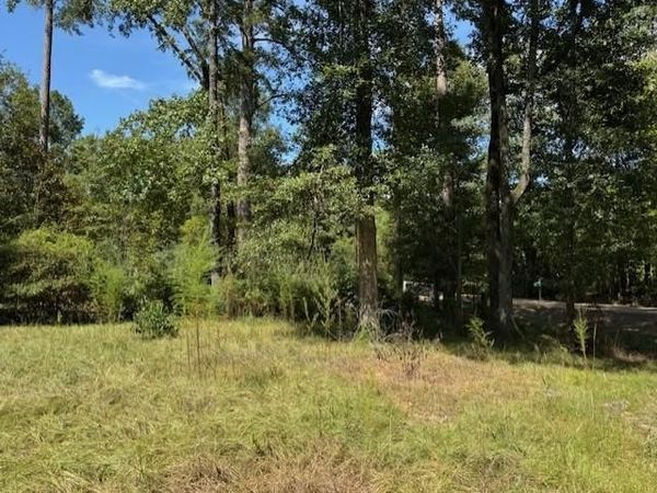 33555 JOHN BARBER Road , Holden, LA 70744