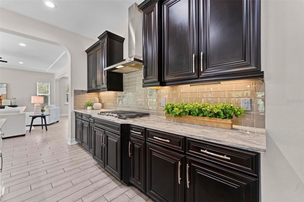 17901 Howsmoor Place, Lutz, FL 33559 Photo