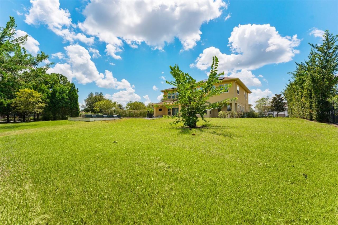 17901 Howsmoor Place, Lutz, FL 33559 Photo