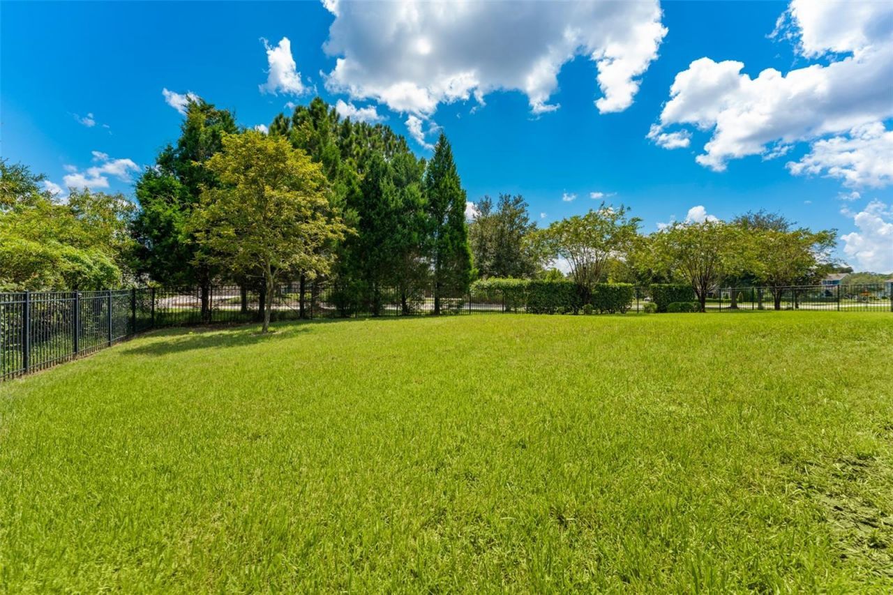 17901 Howsmoor Place, Lutz, FL 33559 Photo