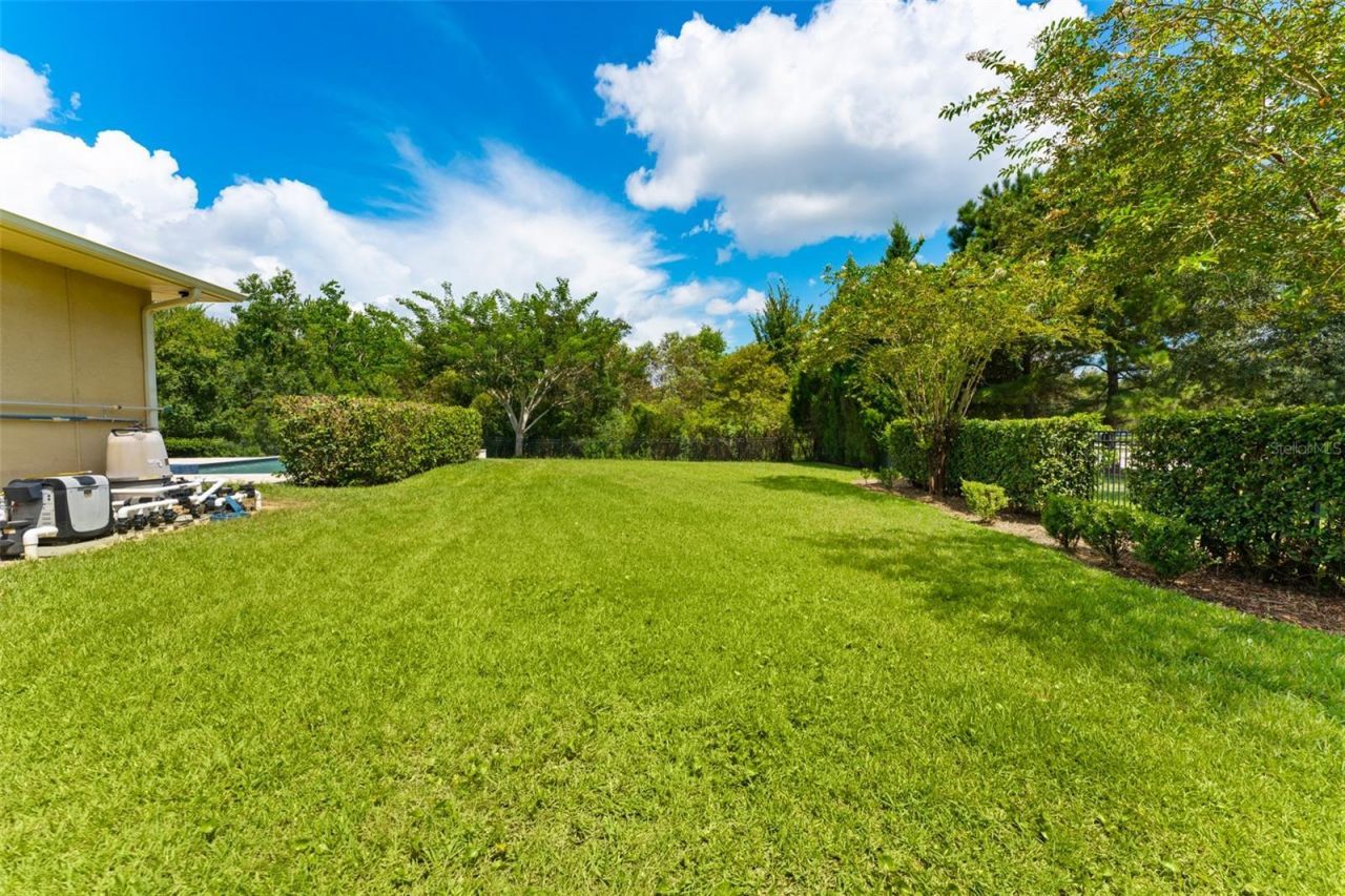 17901 Howsmoor Place, Lutz, FL 33559 Photo