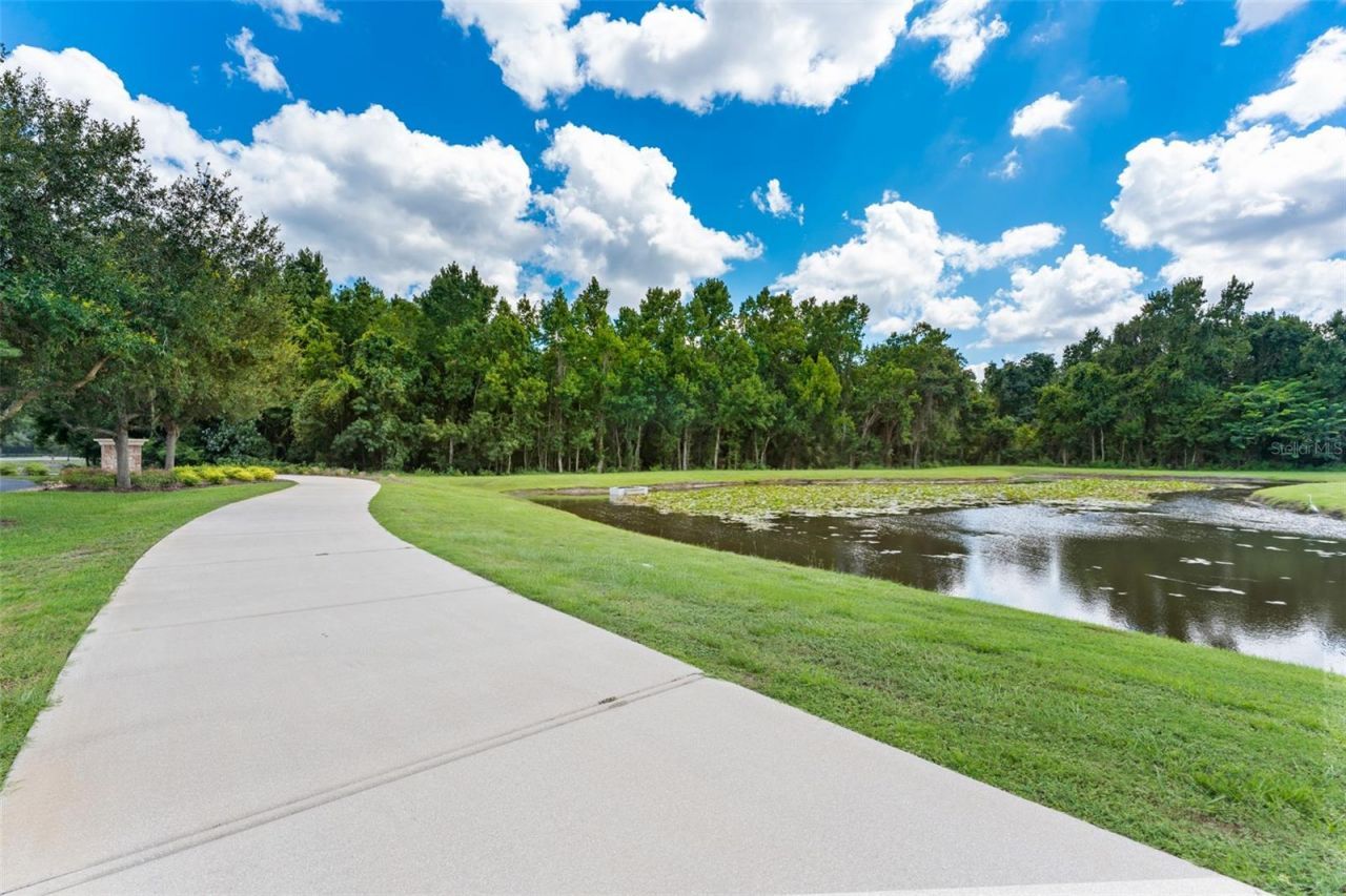17901 Howsmoor Place, Lutz, FL 33559 Photo